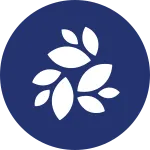 Nkn SVG Icon